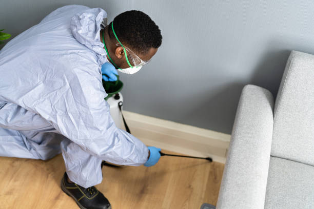 Best Bed Bug Extermination  in Rio Vista, TX